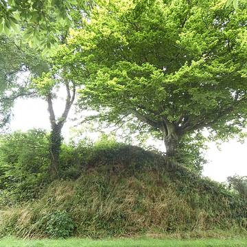 Hague-Dick à Beaumont-Hague