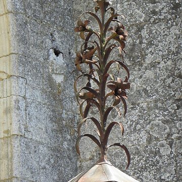 Chapelle Notre-Dame-de-Pitié de Longny-au-Perche