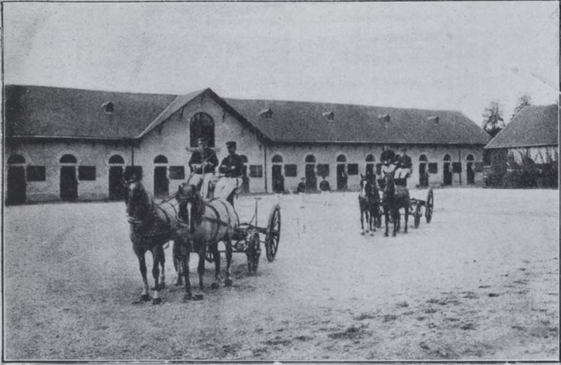 Haras national de Hennebont