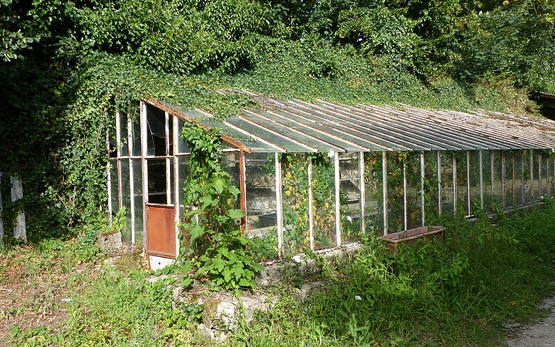 Haras national de Hennebont