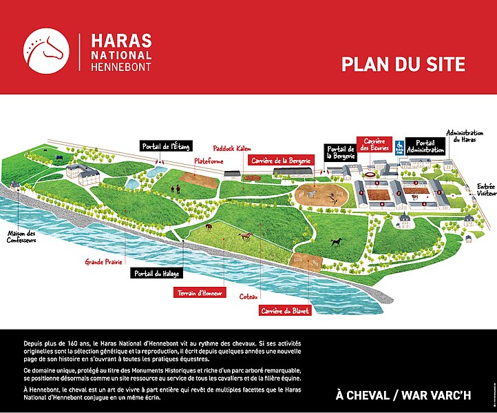 Haras national de Hennebont