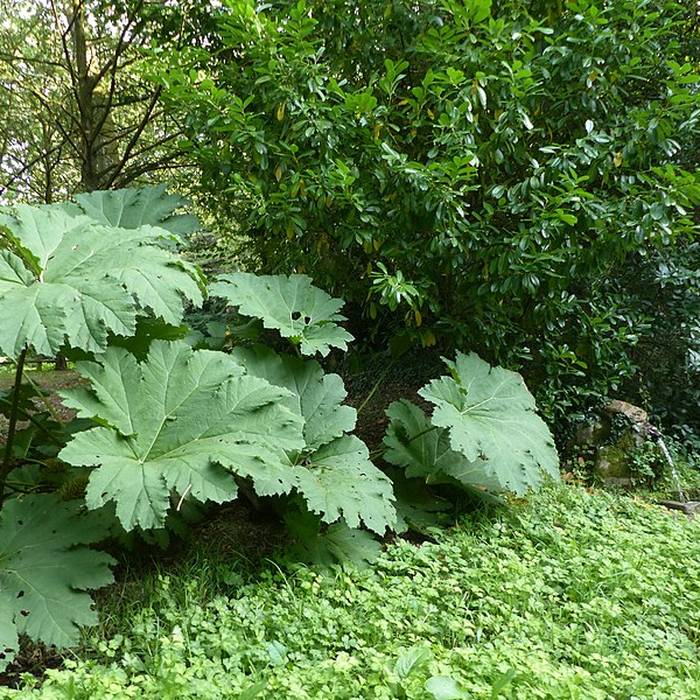 Photo de Haras national de Hennebont