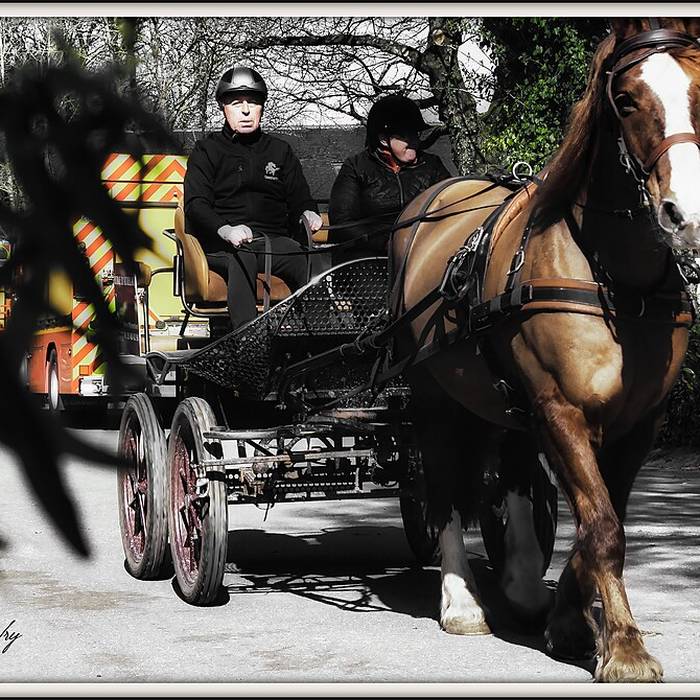 Photo de Haras national de Hennebont