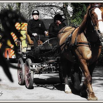 Haras national de Hennebont