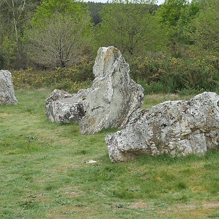 Photo de Hémicycle mégalithique et tertre tumulaire de Cojoux à Saint-Just