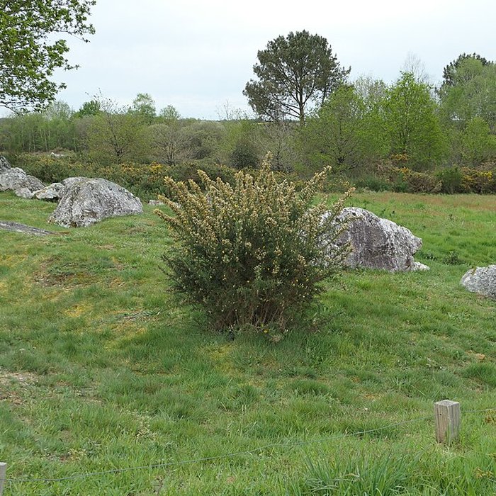 Photo de Hémicycle mégalithique et tertre tumulaire de Cojoux à Saint-Just