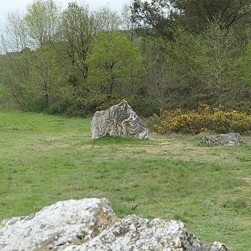 Hémicycle mégalithique et tertre tumulaire de Cojoux à Saint-Just