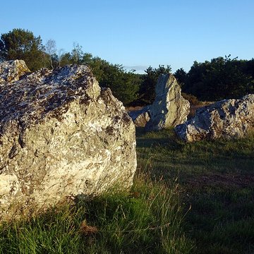 Hémicycle mégalithique et tertre tumulaire de Cojoux à Saint-Just