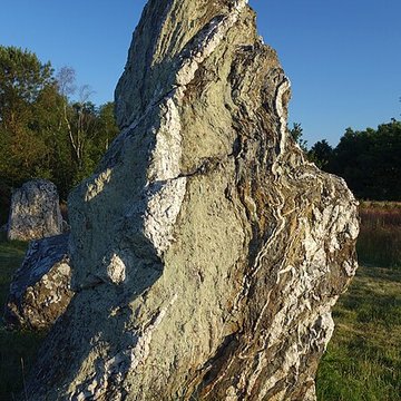 Hémicycle mégalithique et tertre tumulaire de Cojoux à Saint-Just