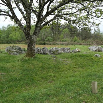 Hémicycle mégalithique et tertre tumulaire de Cojoux à Saint-Just