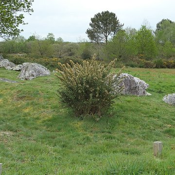 Hémicycle mégalithique et tertre tumulaire de Cojoux à Saint-Just