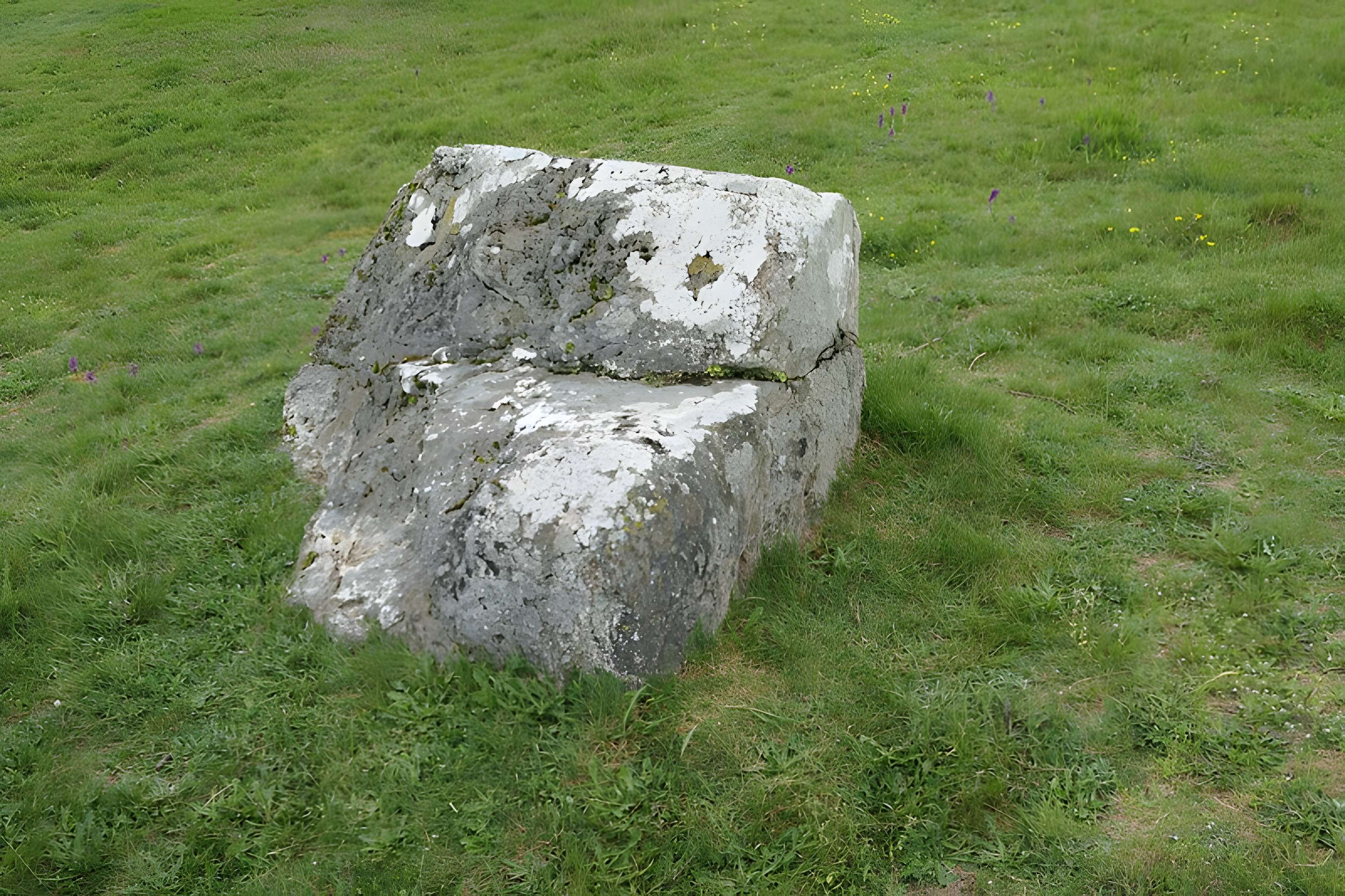 Hémicycle mégalithique et tertre tumulaire de Cojoux à Saint-Just