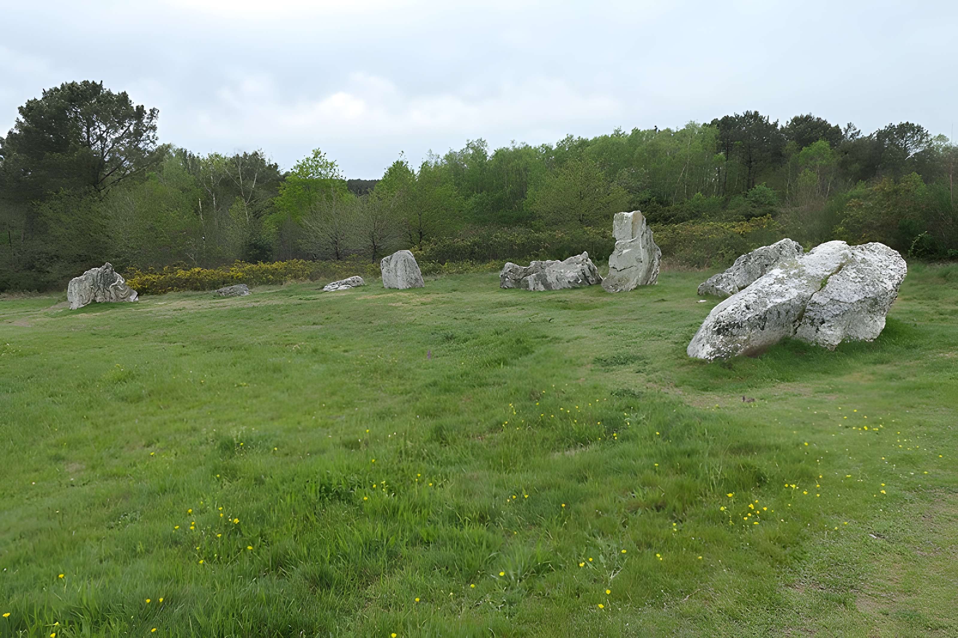 Hémicycle mégalithique et tertre tumulaire de Cojoux à Saint-Just