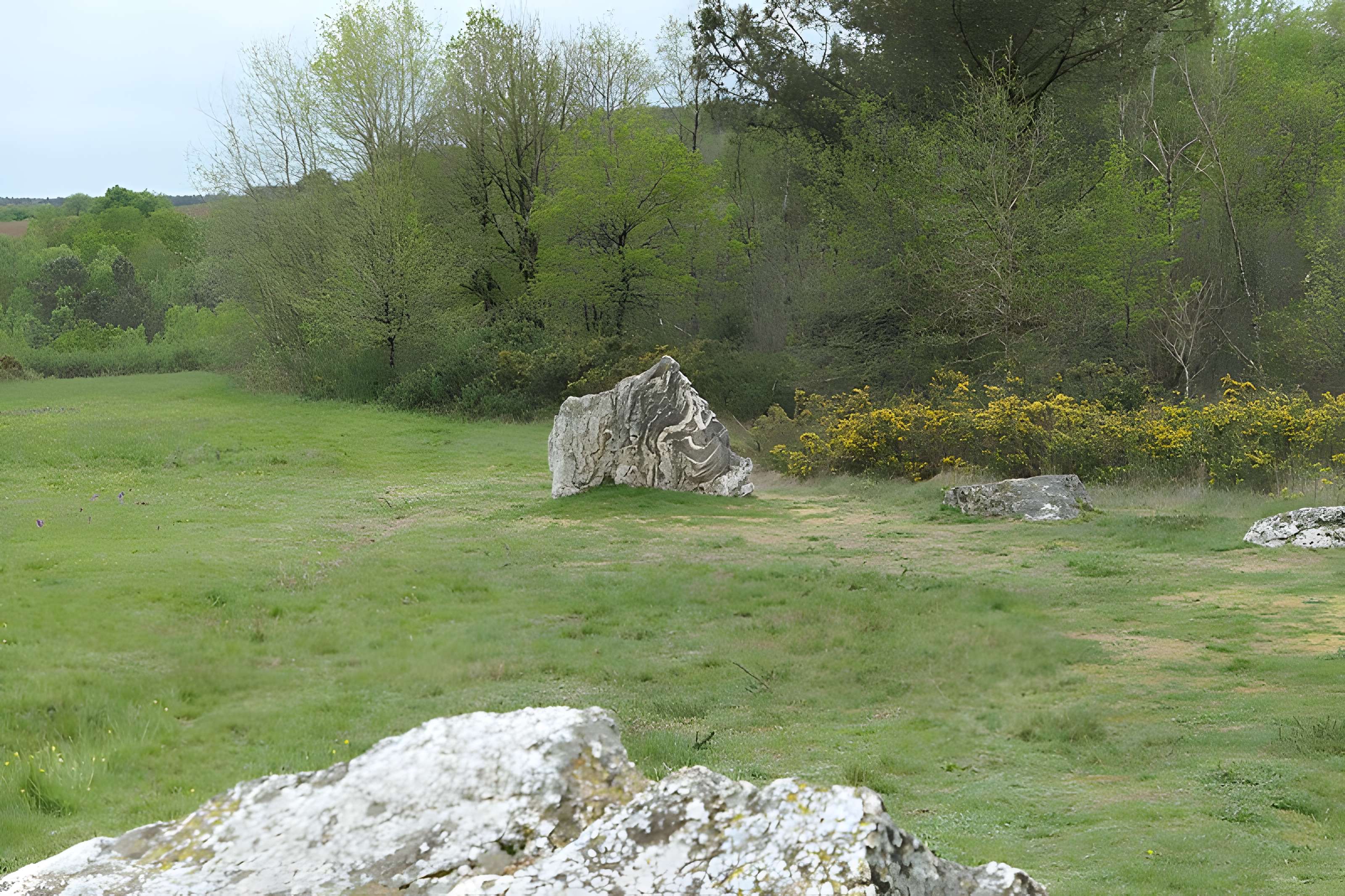Hémicycle mégalithique et tertre tumulaire de Cojoux à Saint-Just