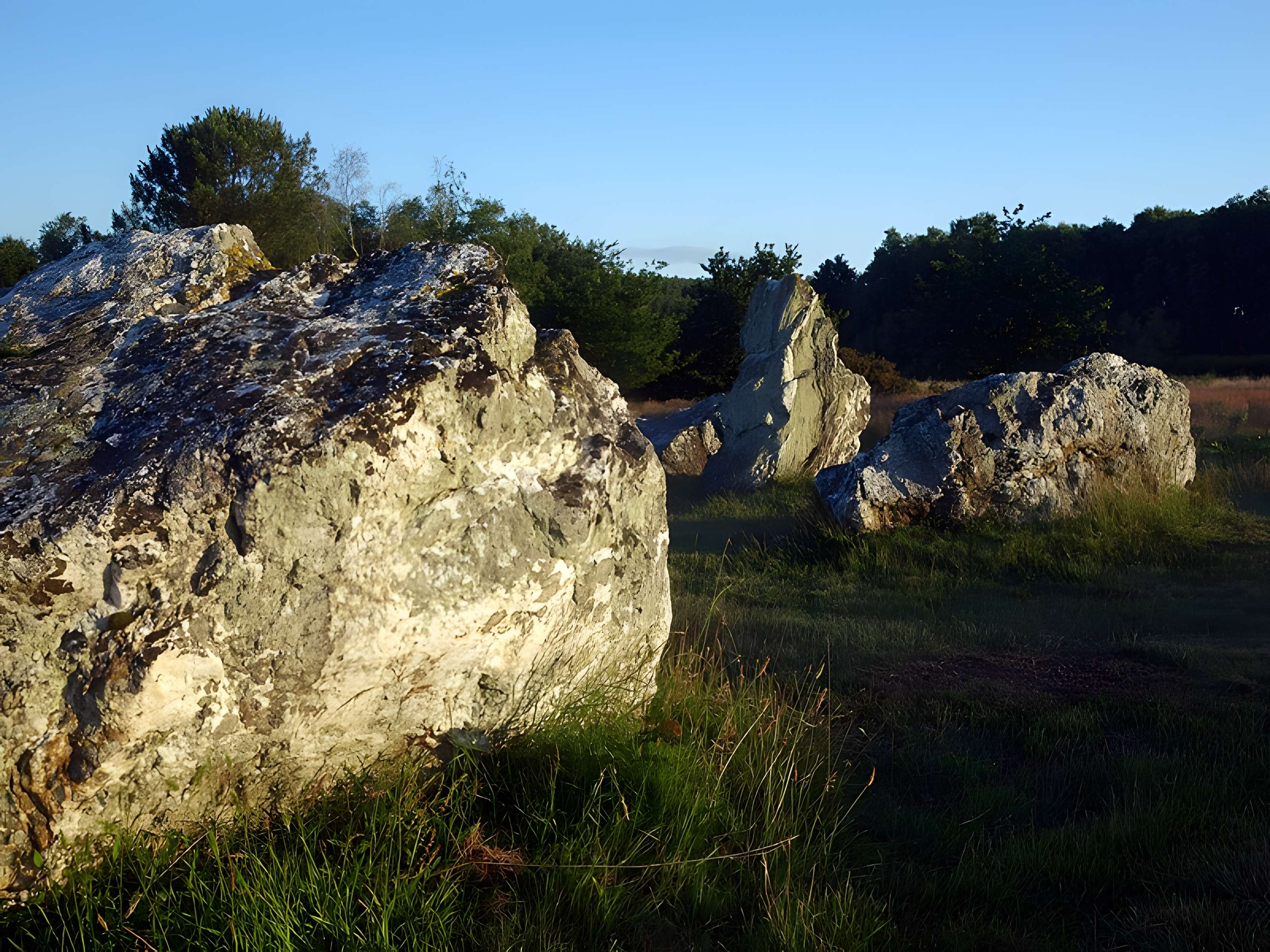 Hémicycle mégalithique et tertre tumulaire de Cojoux à Saint-Just