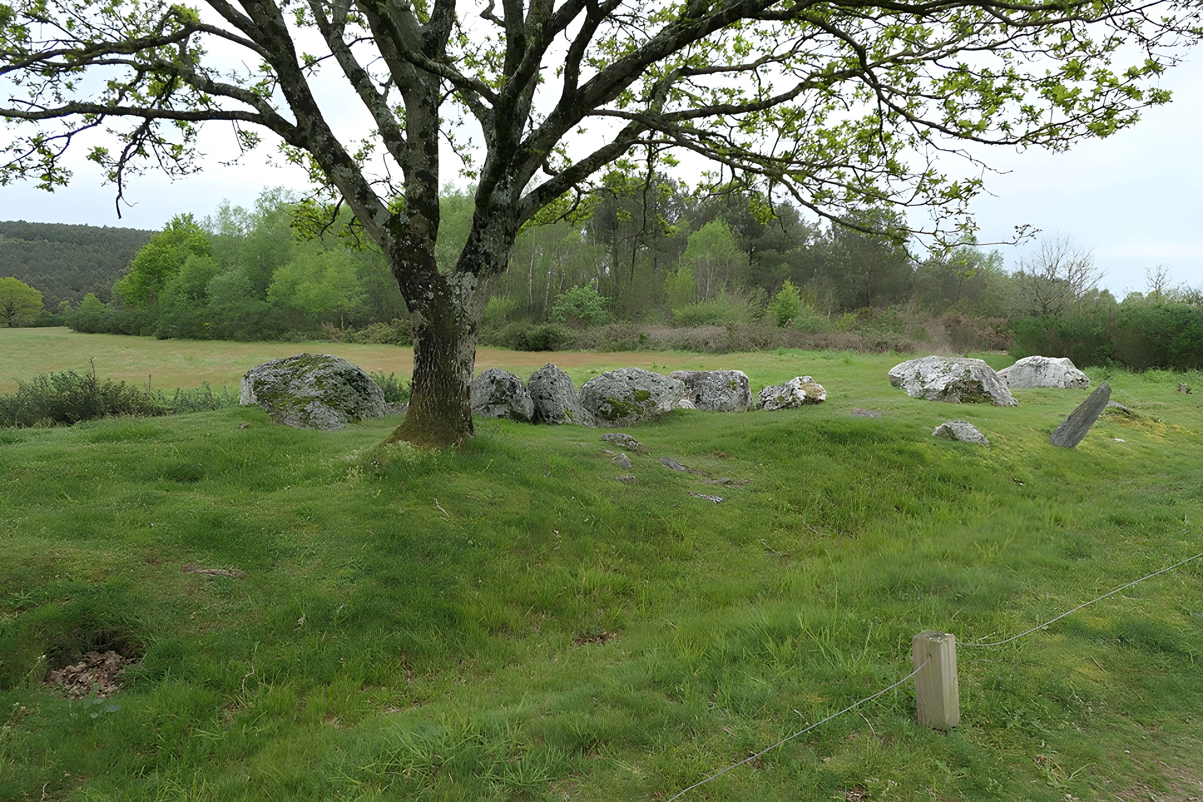 Hémicycle mégalithique et tertre tumulaire de Cojoux à Saint-Just