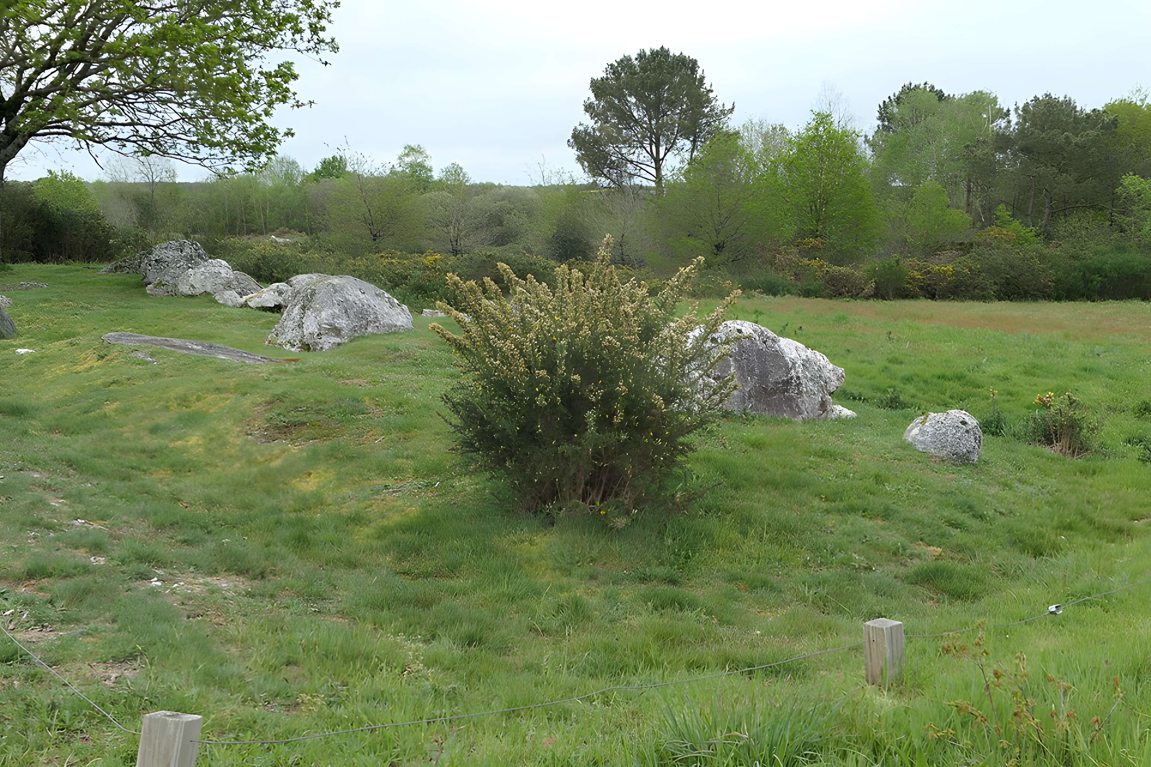 Hémicycle mégalithique et tertre tumulaire de Cojoux à Saint-Just