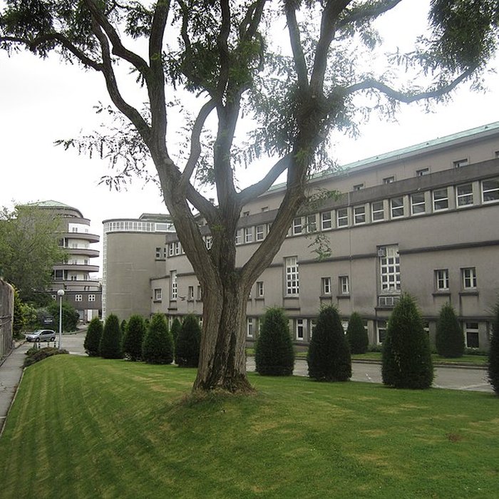 Photo de Hôpital Augustin-Morvan de Brest