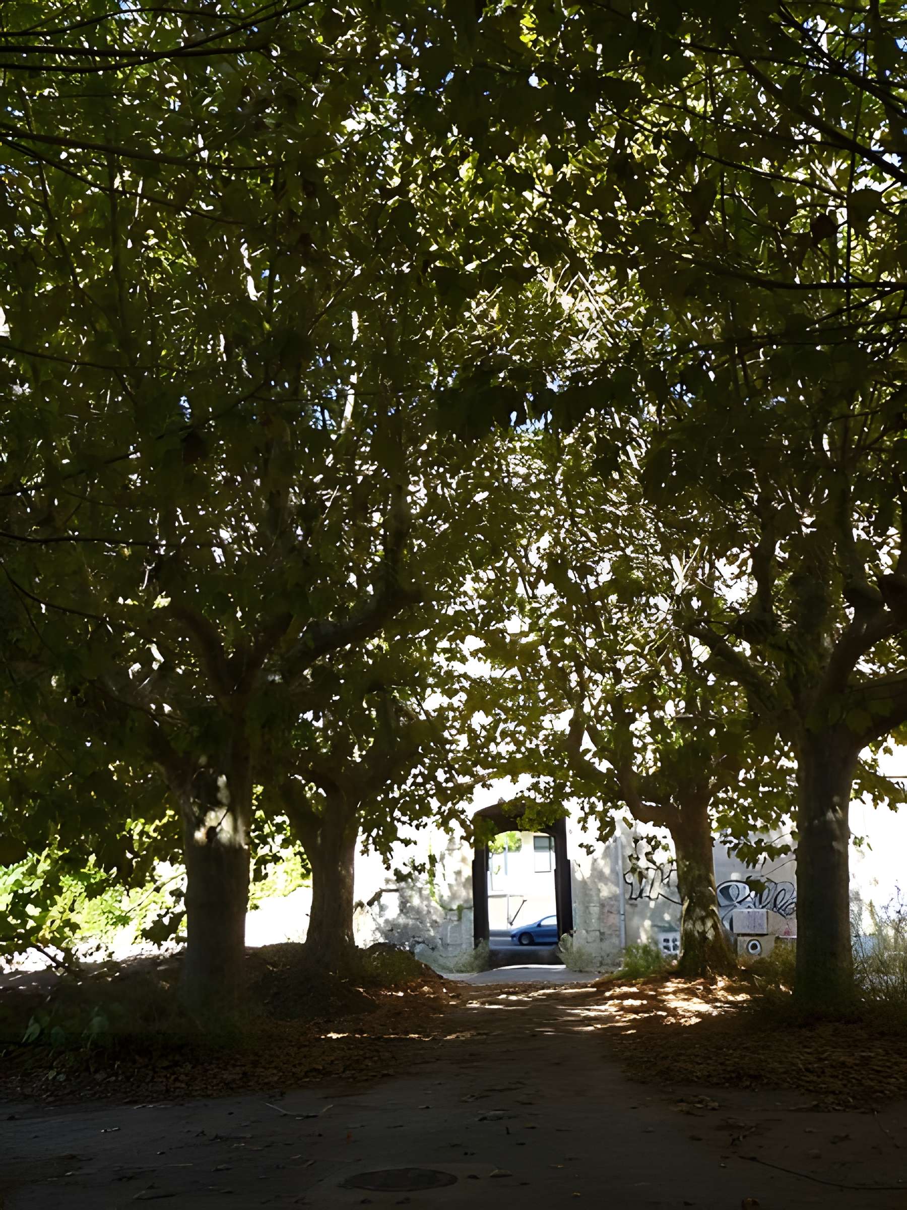 Hôpital Général Saint-Charles de Montpellier