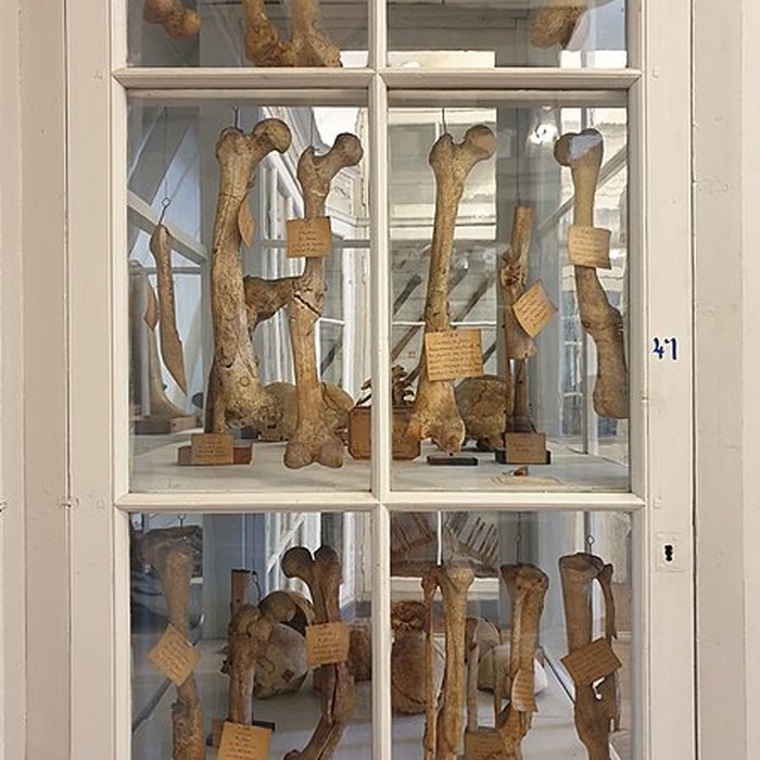 Photo de Hôpital maritime de Rochefort