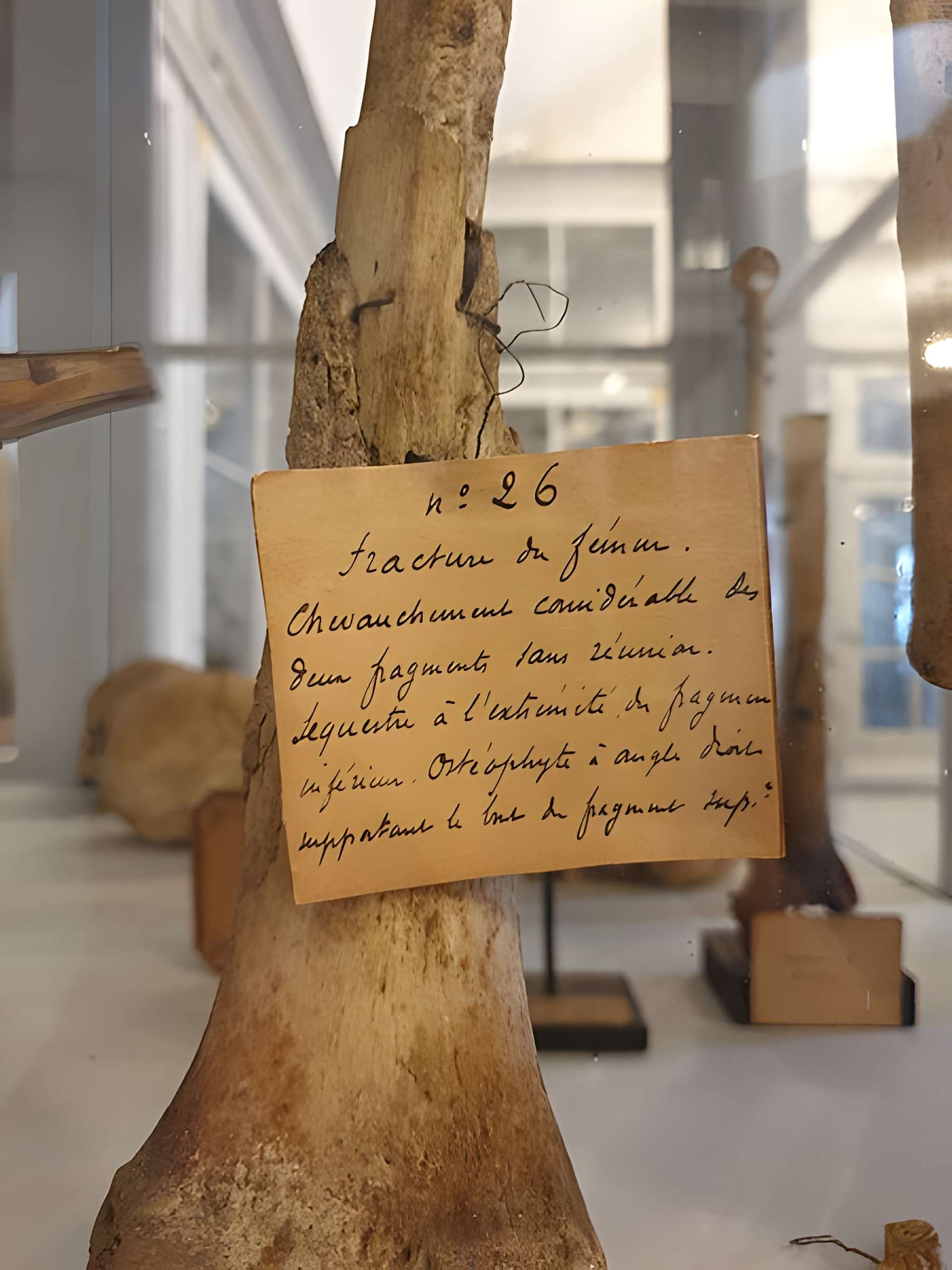 Hôpital maritime de Rochefort