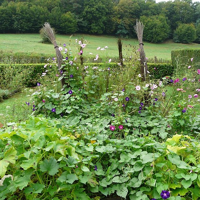 Photo de Hospice de Malrigou de Saint-Jean-dEstissac