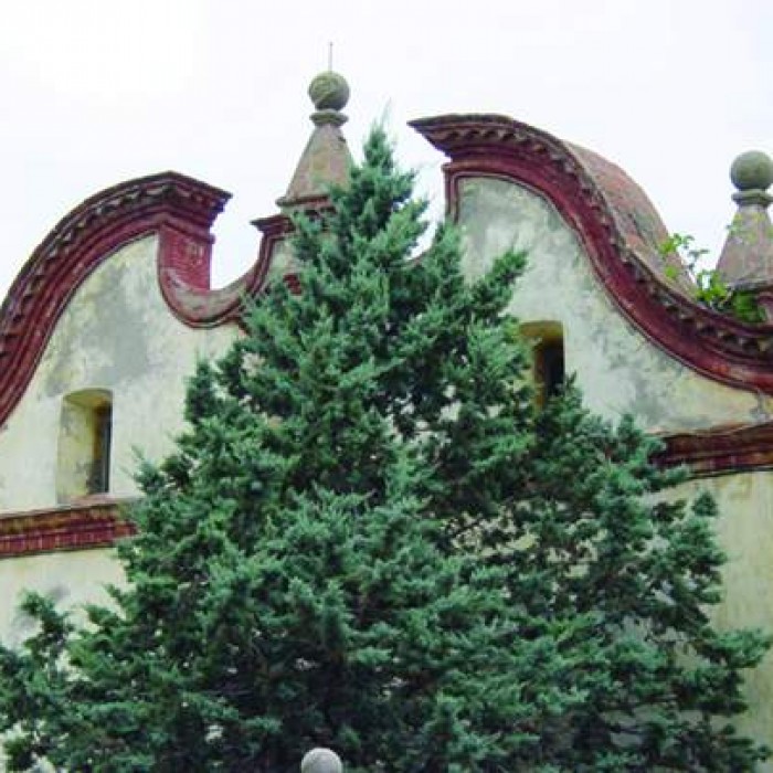 Photo de LHospici dIlla : Ancien Hospice Saint-Jacques dIlle-sur-Têt
