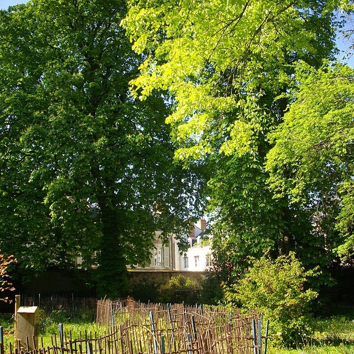 Photo de Hôtel Brachet à Orléans