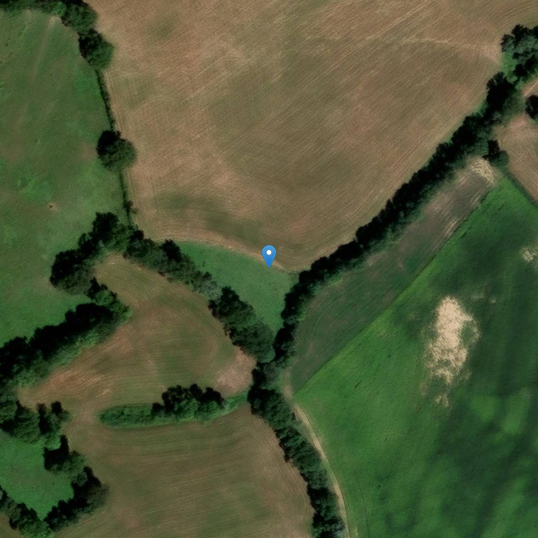 Photo de Hôtel Coeurderoy in Moutiers-Saint-Jean