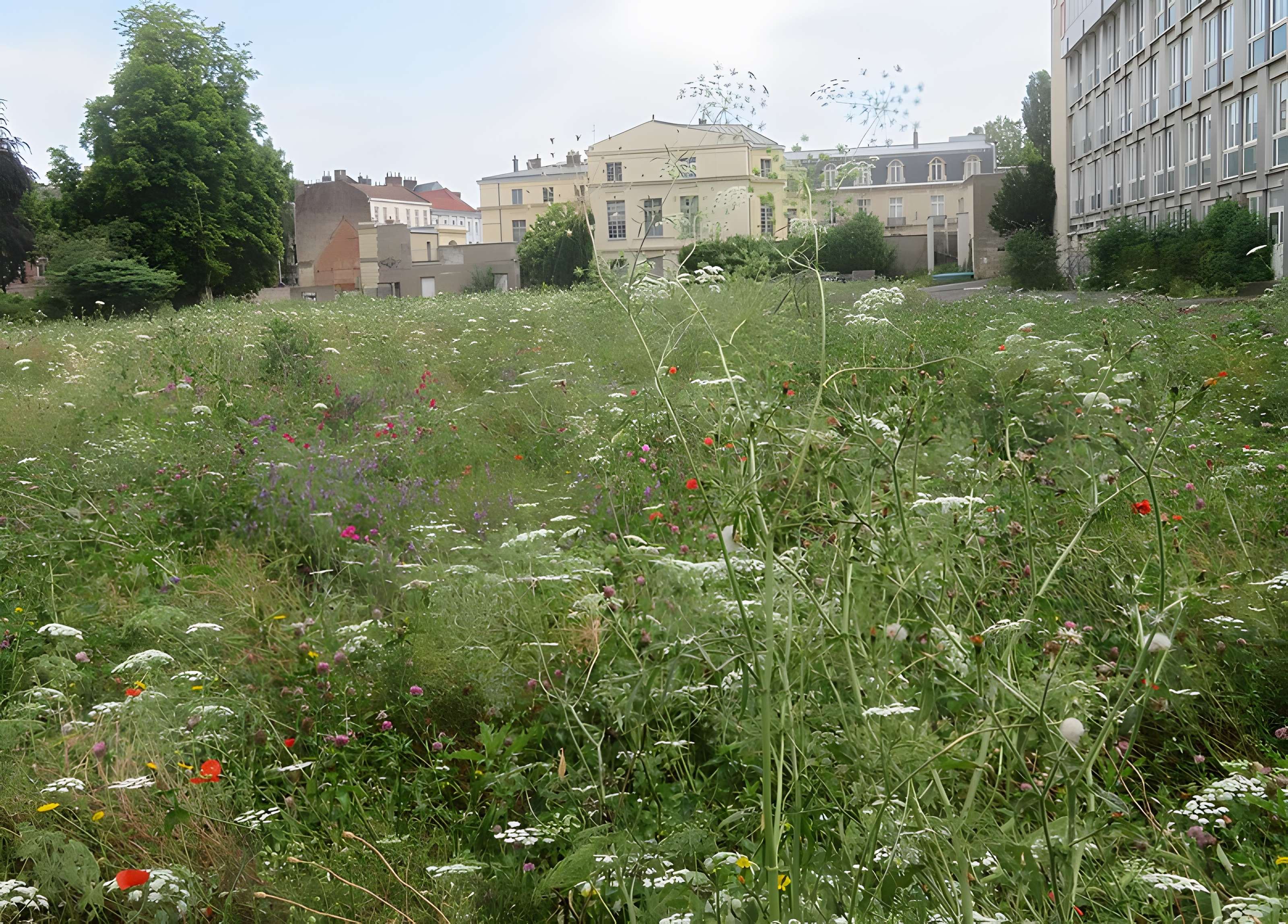 Hôtel d'Avelin (Hôtel du Rectorat)