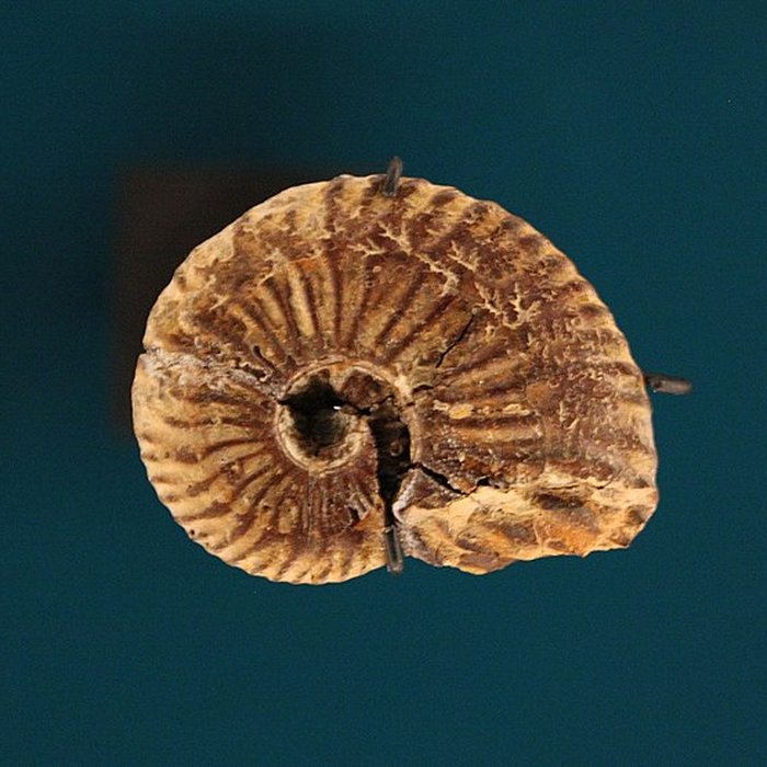 Photo de Hôtel de Fleury à Lodève