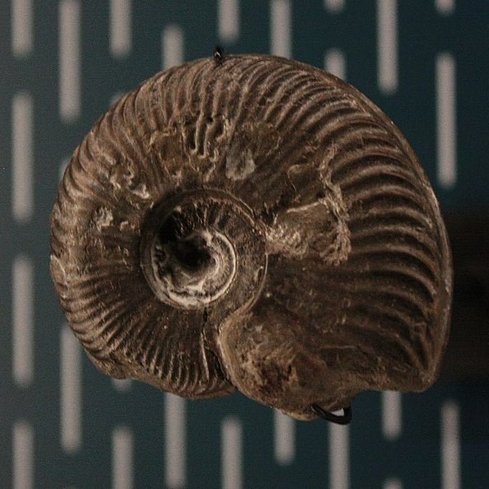 Photo de Hôtel de Fleury à Lodève