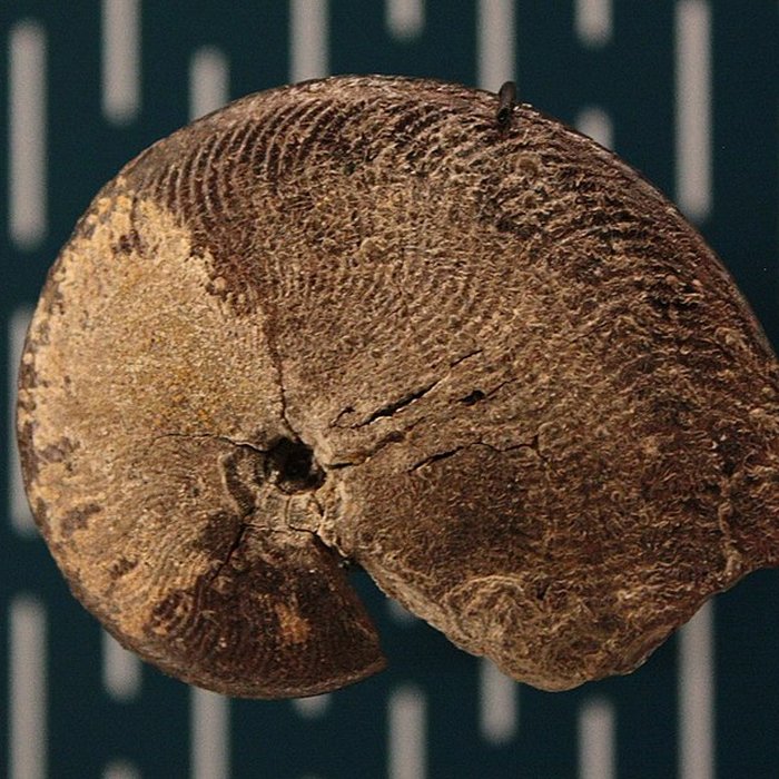 Photo de Hôtel de Fleury à Lodève