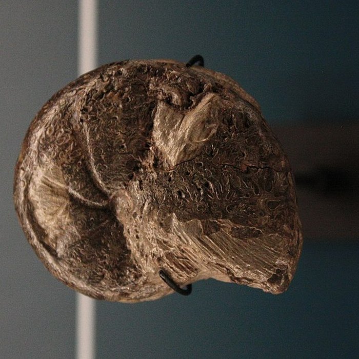 Photo de Hôtel de Fleury à Lodève