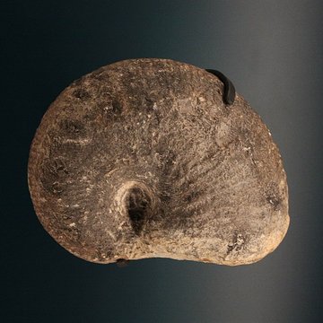 Hôtel de Fleury à Lodève