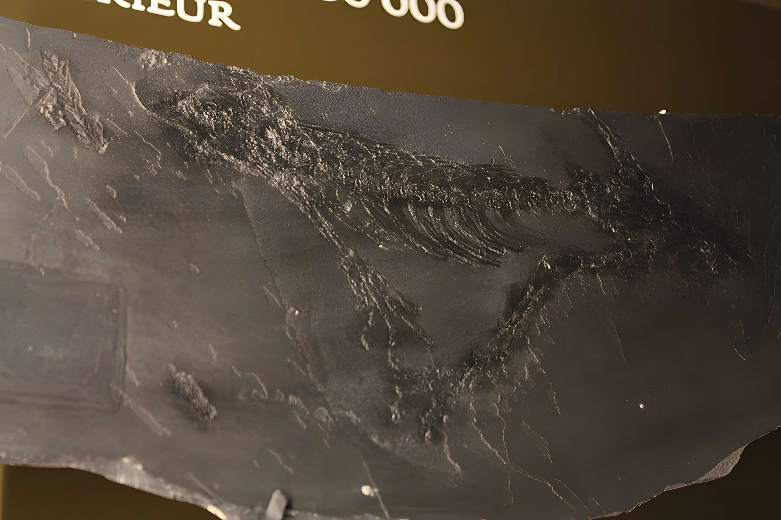 Hôtel de Fleury à Lodève