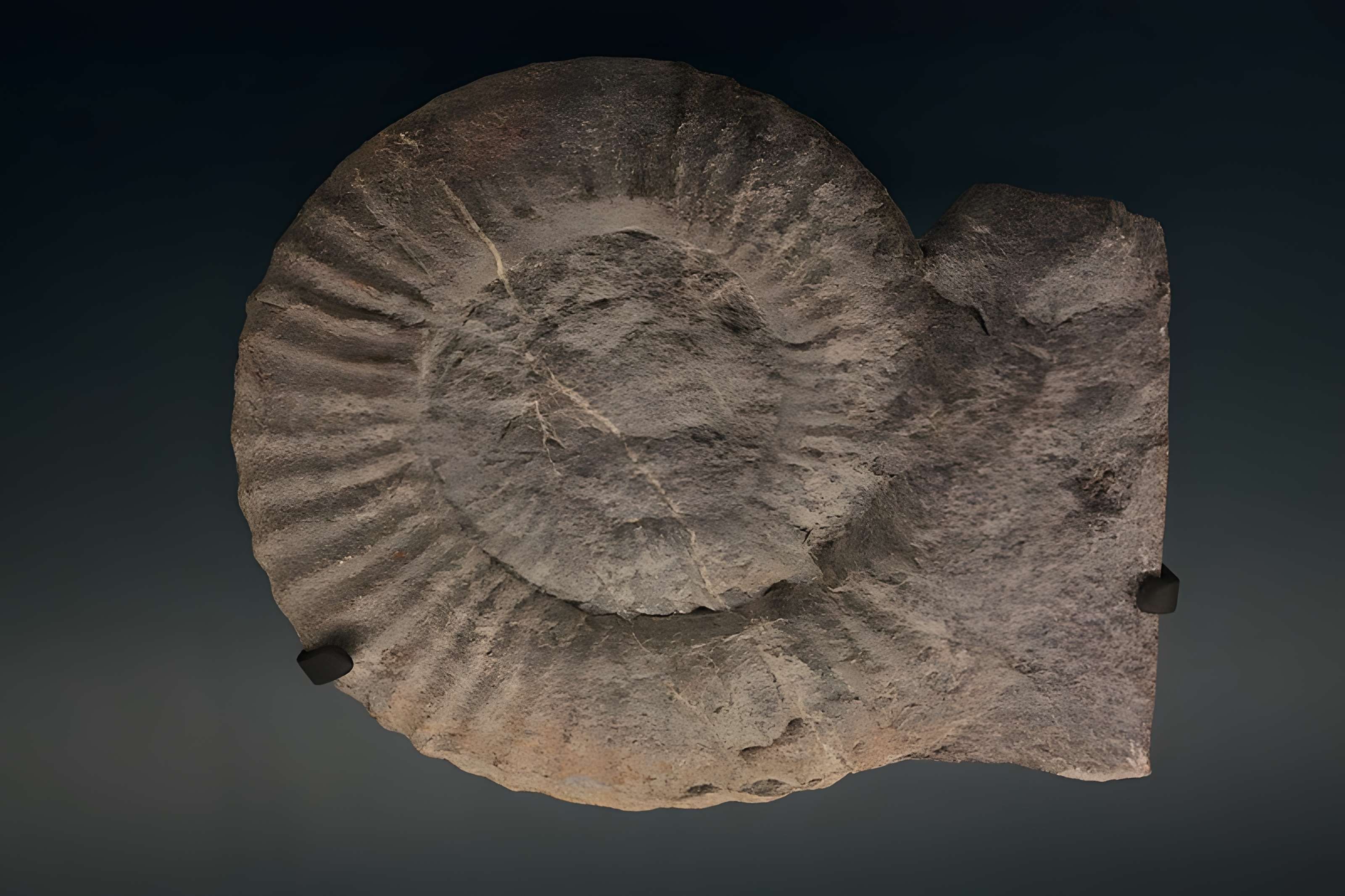 Hôtel de Fleury à Lodève