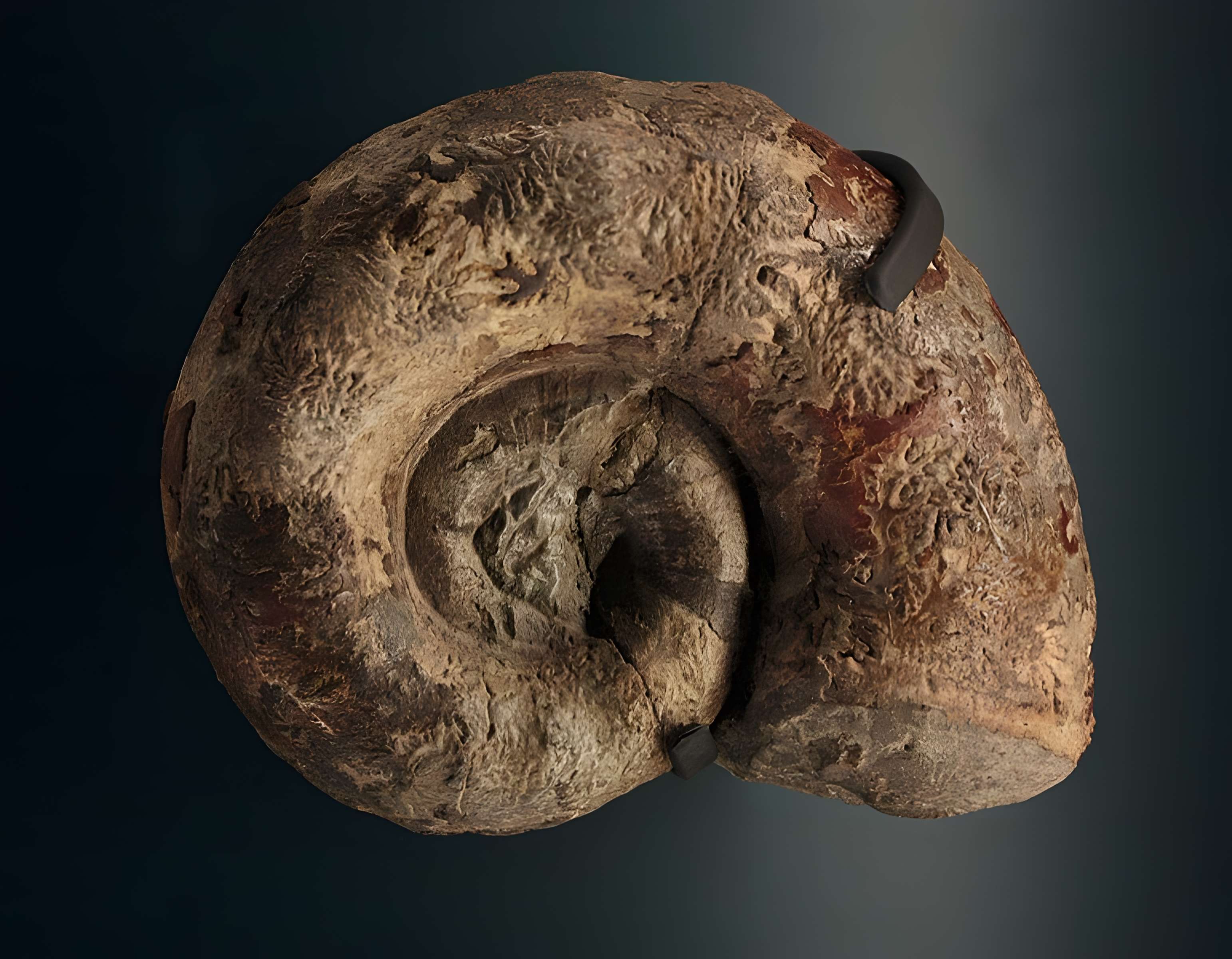 Hôtel de Fleury à Lodève