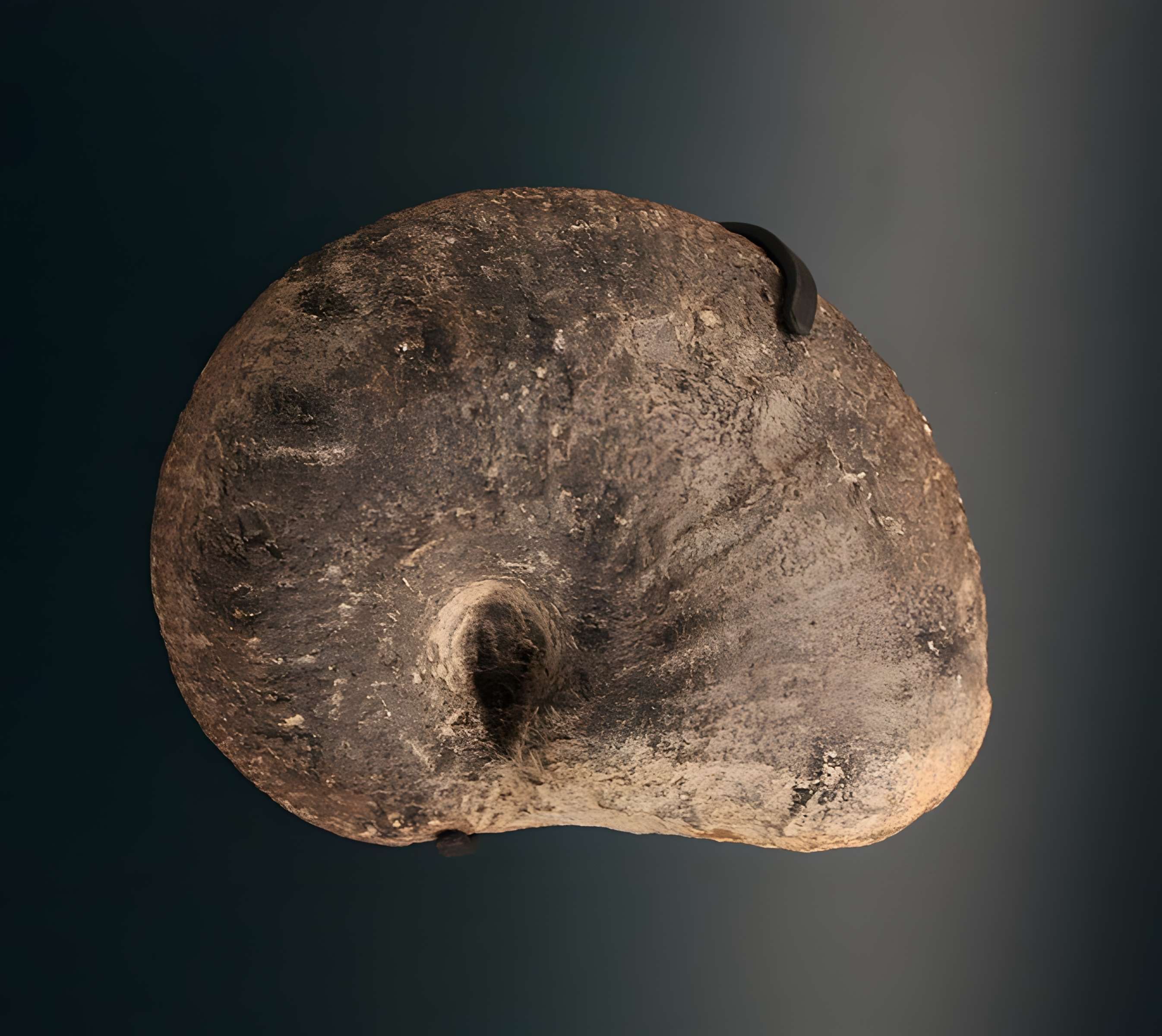 Hôtel de Fleury à Lodève