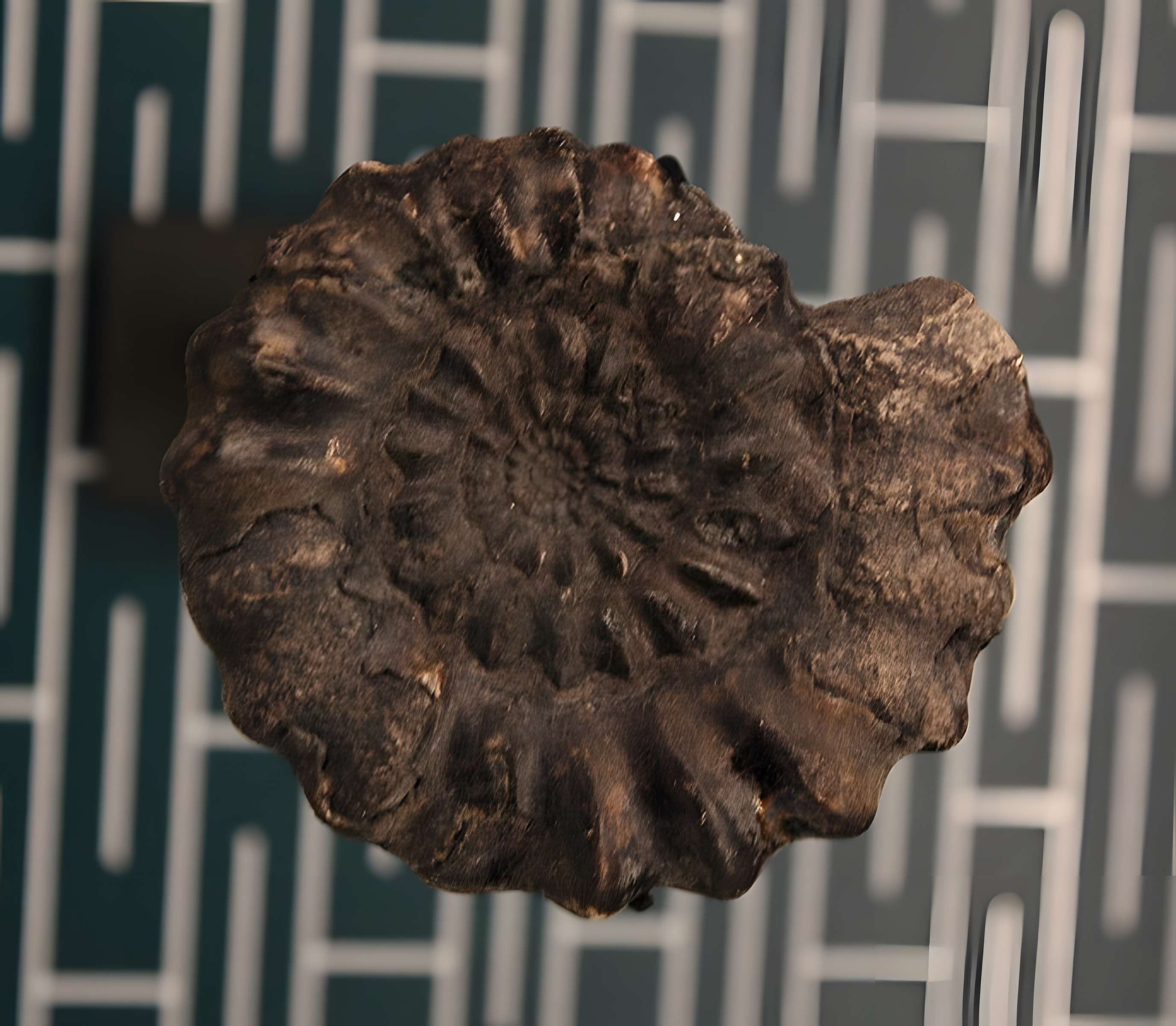 Hôtel de Fleury à Lodève