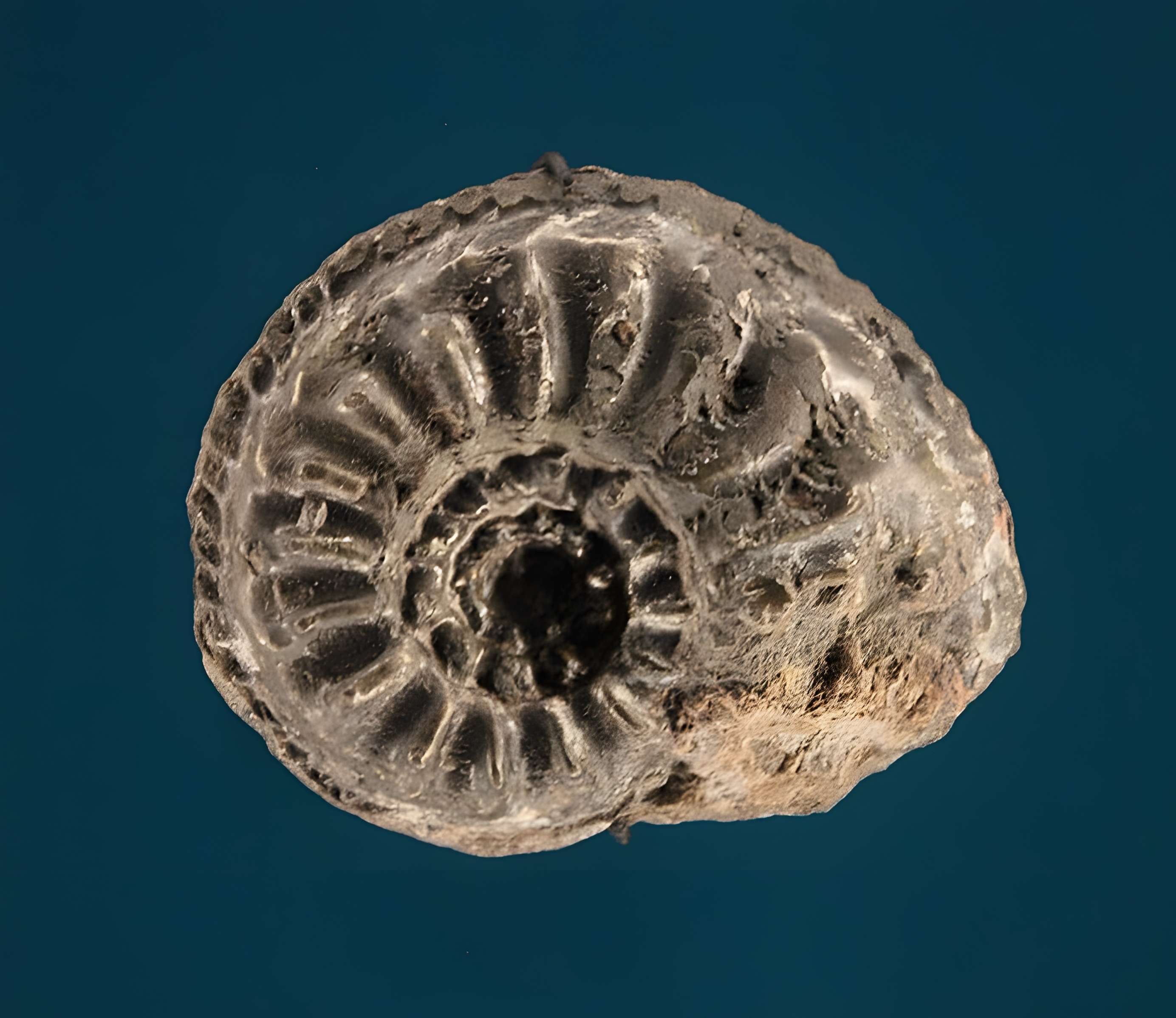 Hôtel de Fleury à Lodève