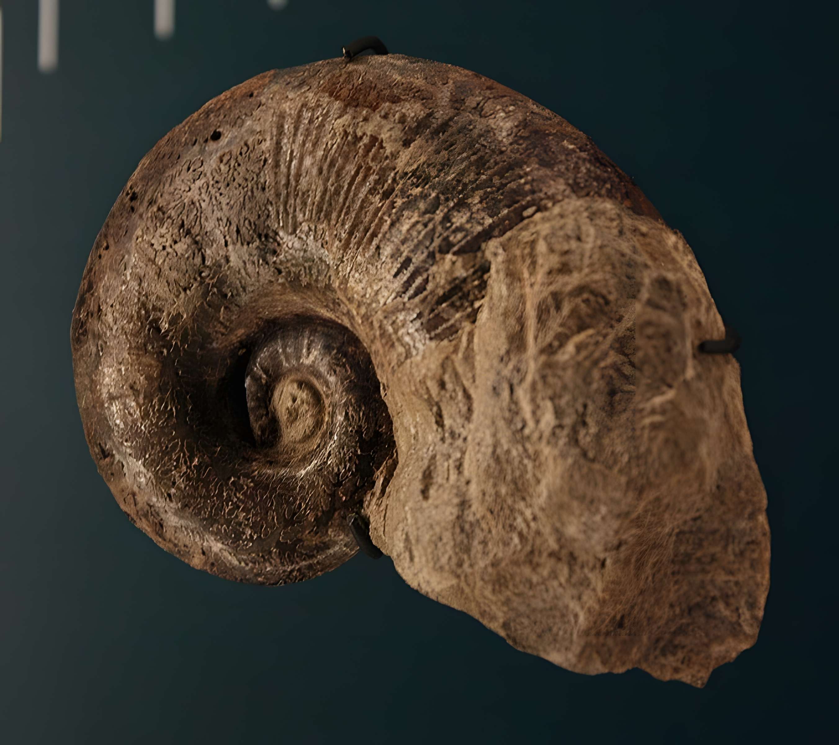 Hôtel de Fleury à Lodève