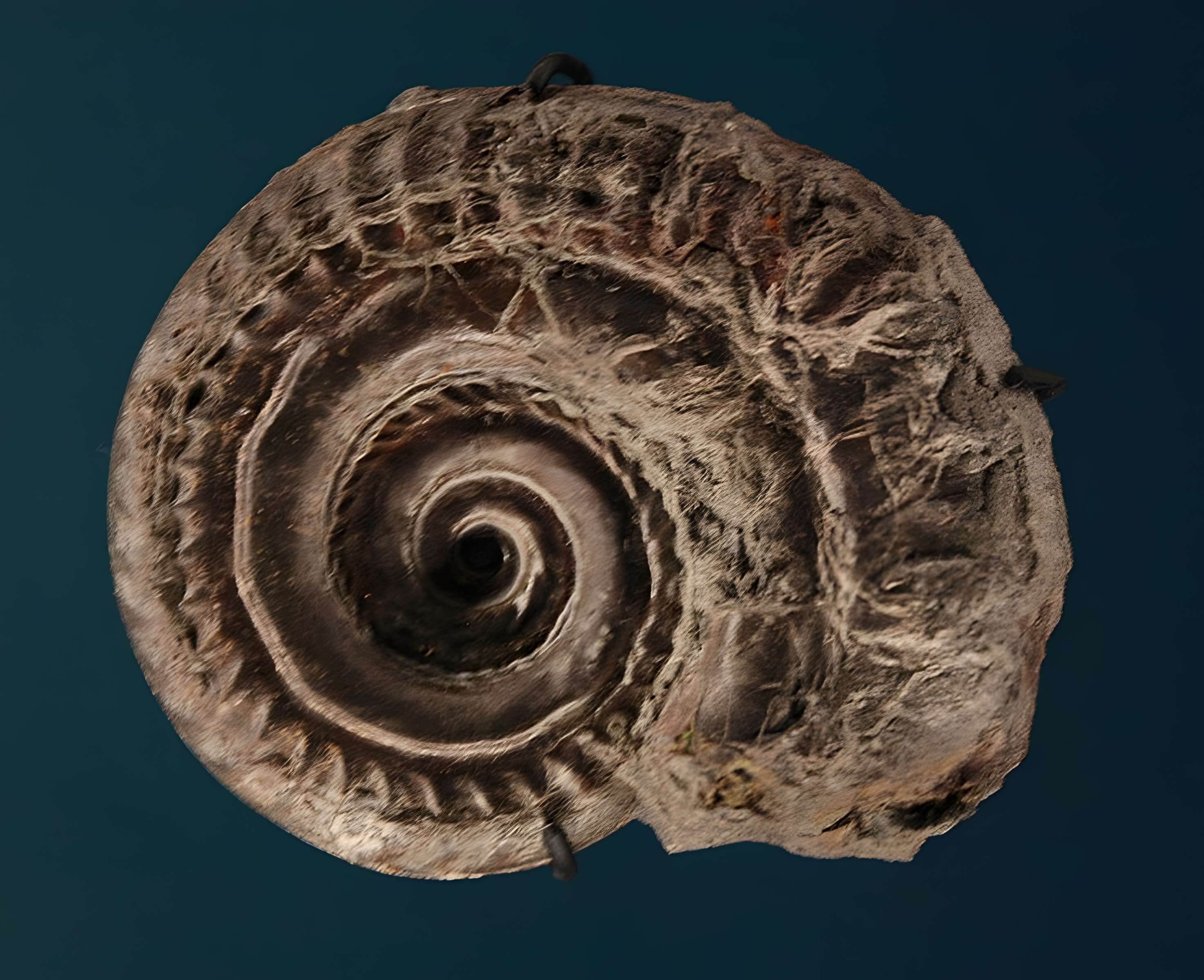 Hôtel de Fleury à Lodève