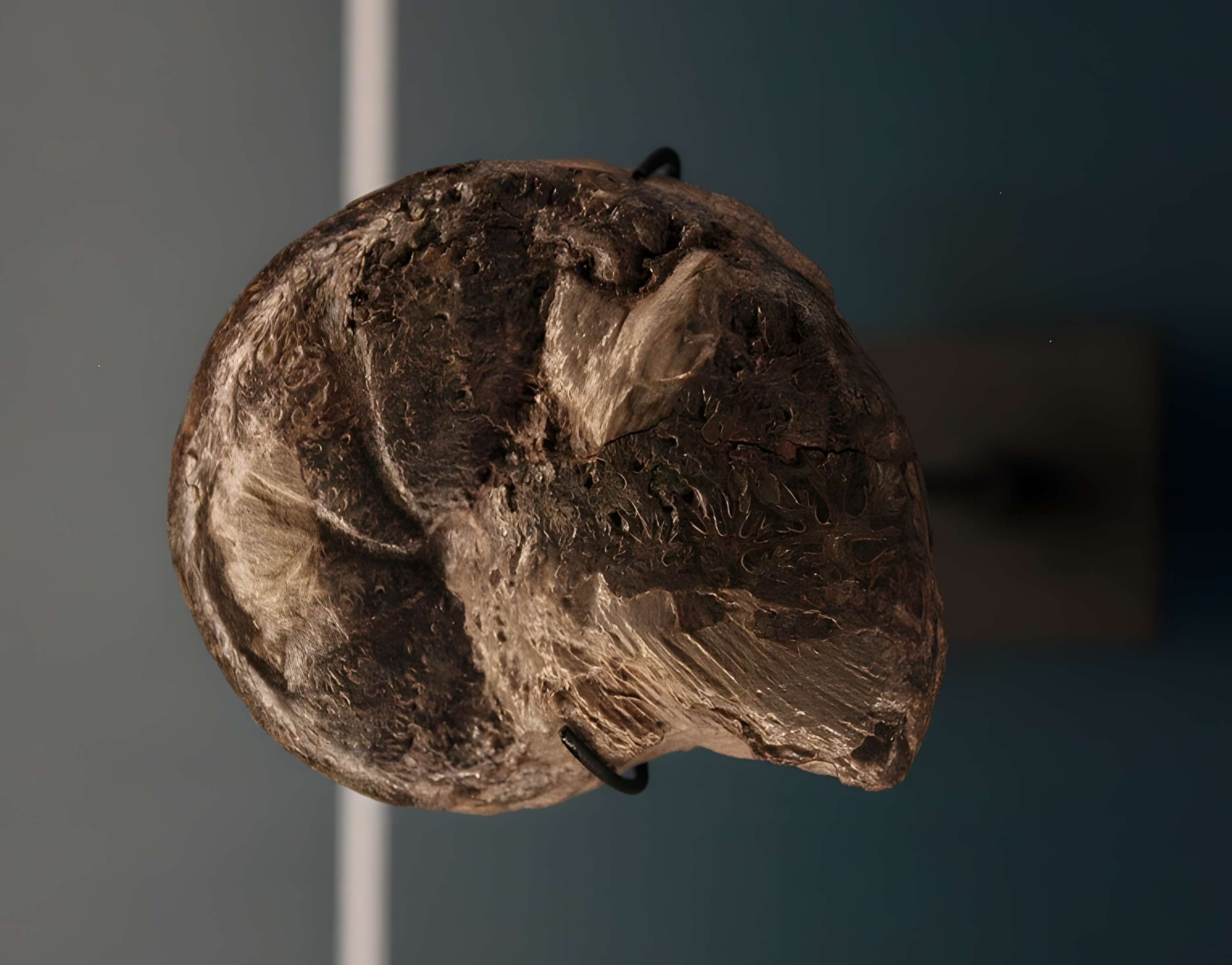 Hôtel de Fleury à Lodève