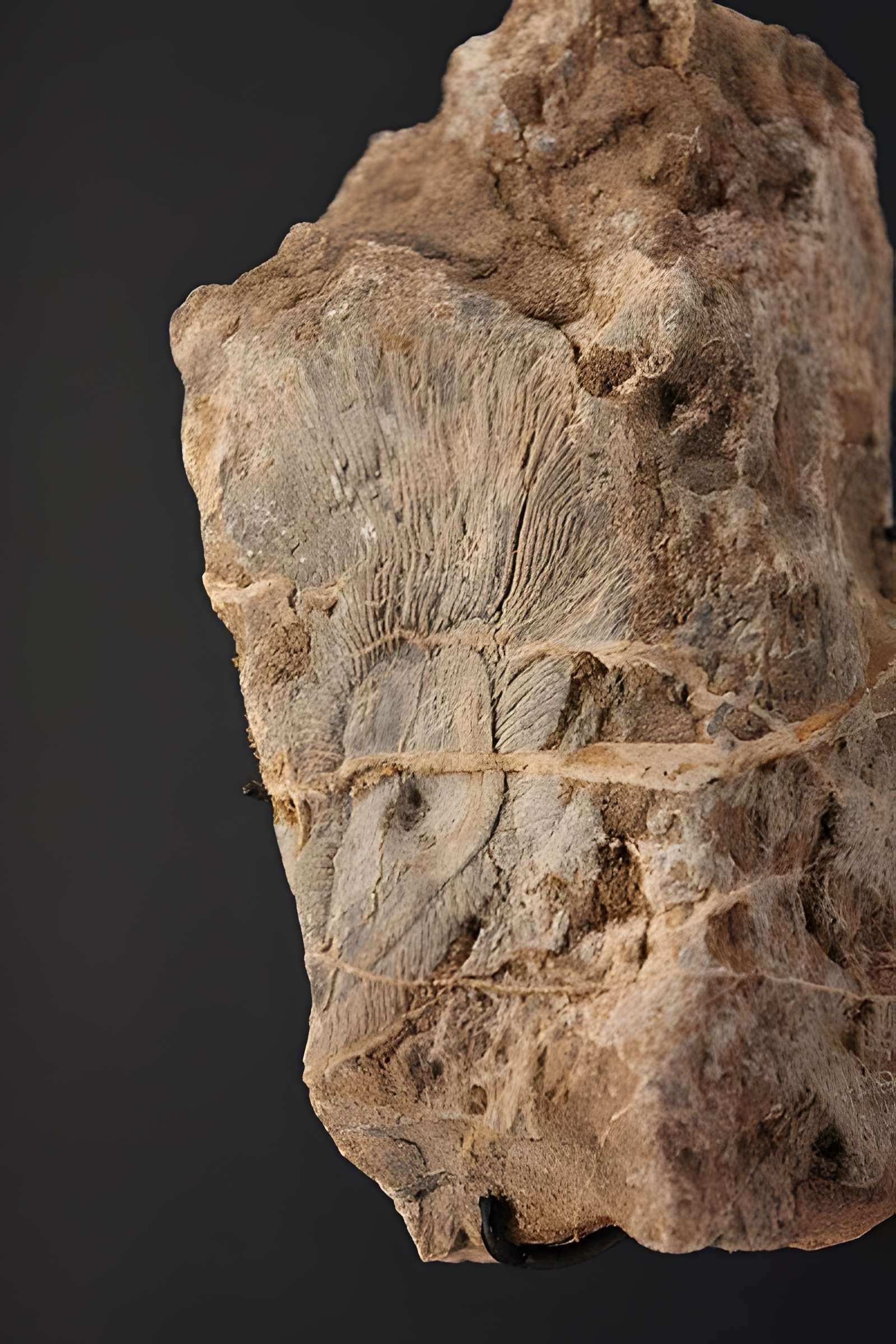 Hôtel de Fleury à Lodève