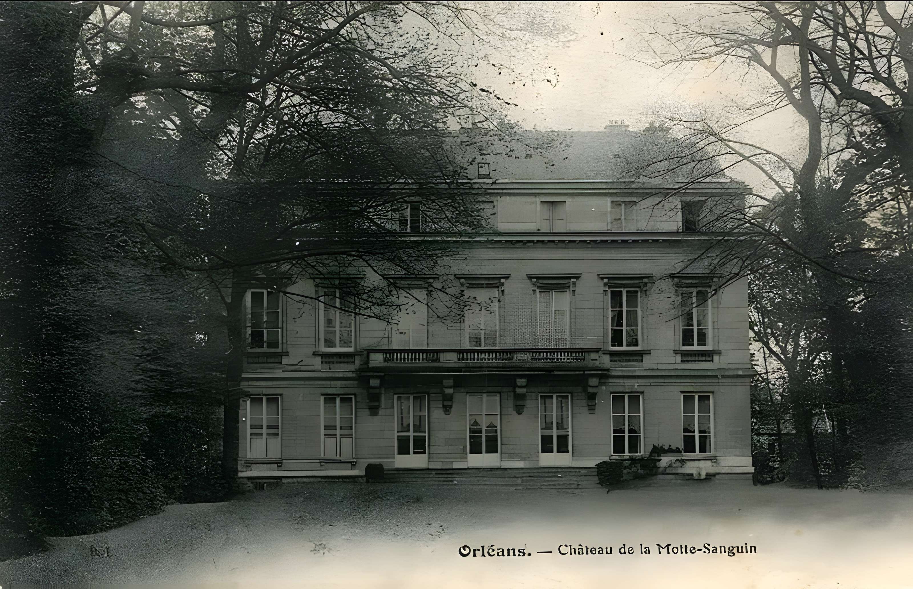 Hôtel de la Motte-Sanguin à Orléans 