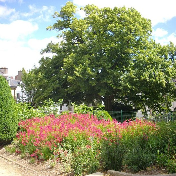 Photo de Hôtel de Limur à Vannes