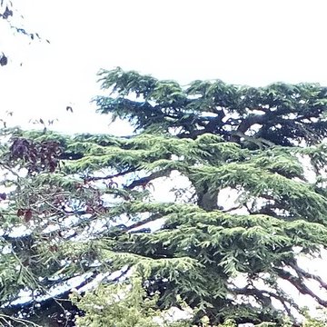 Hôtel de préfecture de la Somme à Amiens