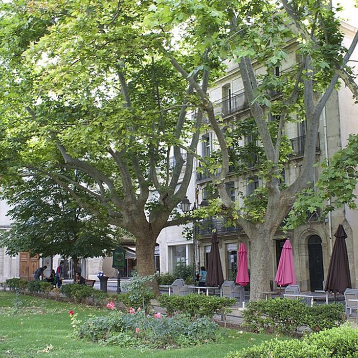 Photo de Hôtel de Sarret ou de la Coquille à Montpellier