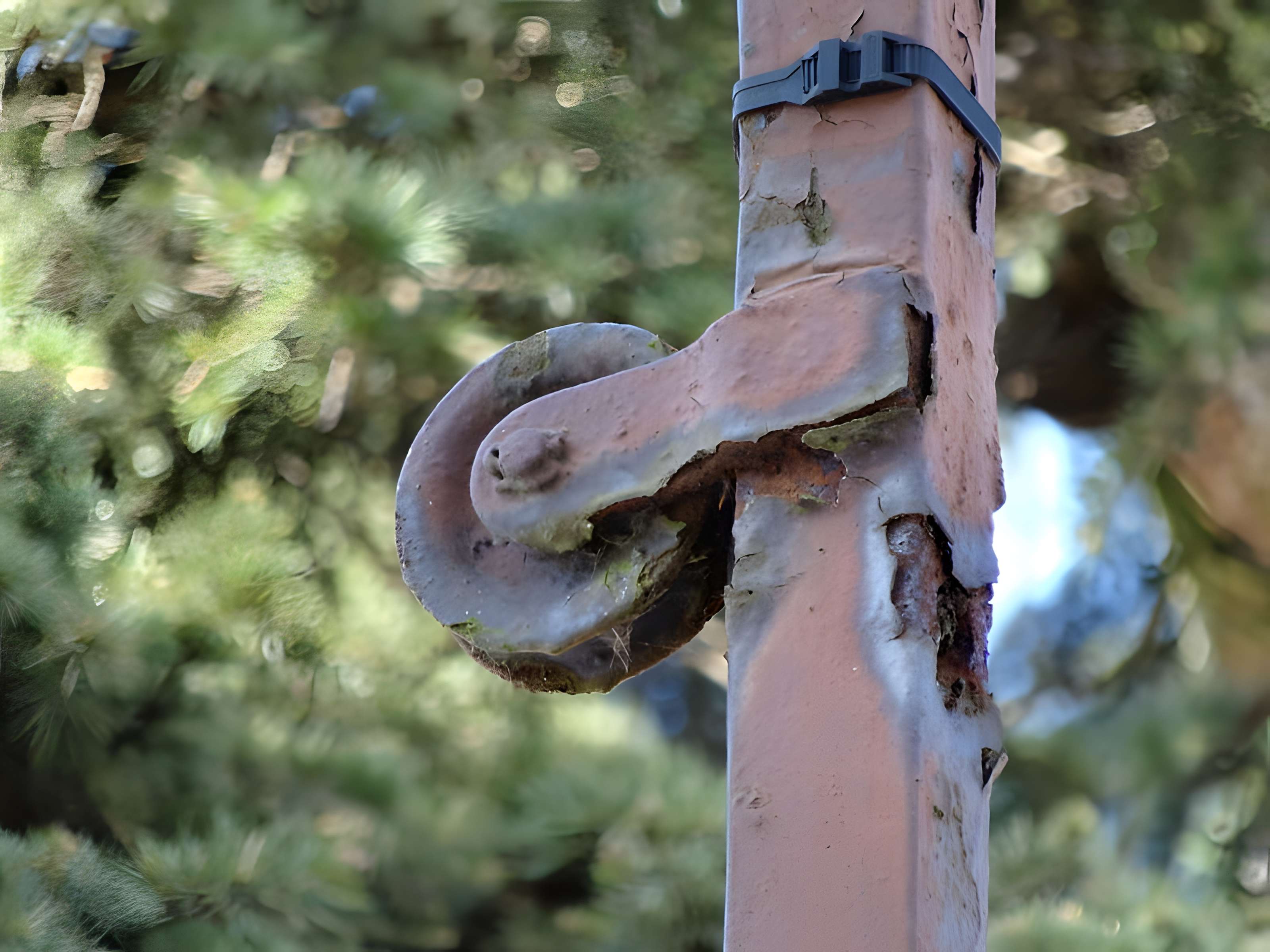 Hôtel de ville de Mazingarbe